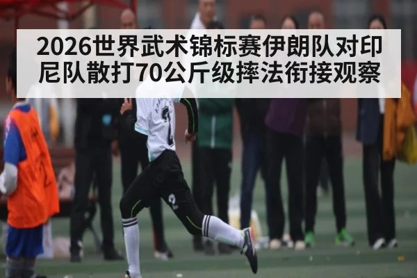 2026世界武术锦标赛伊朗队对印尼队散打70公斤级摔法衔接观察